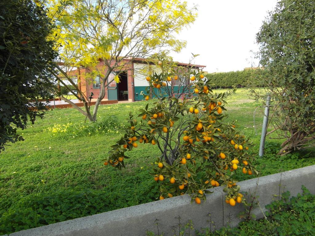 Agriturismo Il Gelsomino Ritrovato Milazzo Extérieur photo