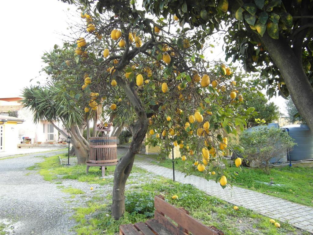 Agriturismo Il Gelsomino Ritrovato Milazzo Extérieur photo