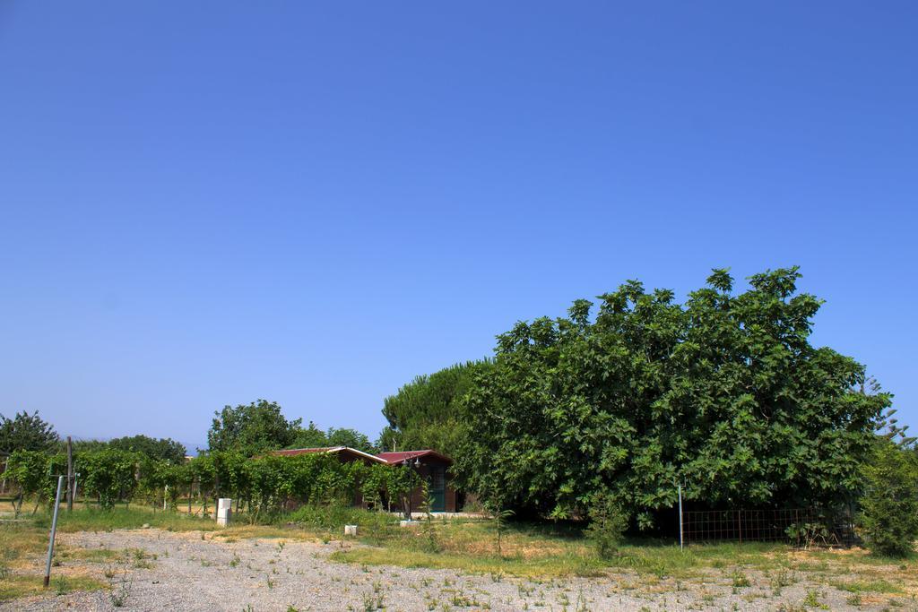 Agriturismo Il Gelsomino Ritrovato Milazzo Extérieur photo
