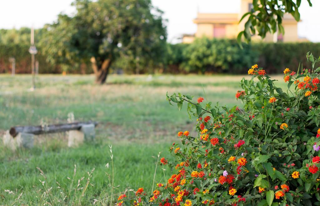 Agriturismo Il Gelsomino Ritrovato Milazzo Extérieur photo